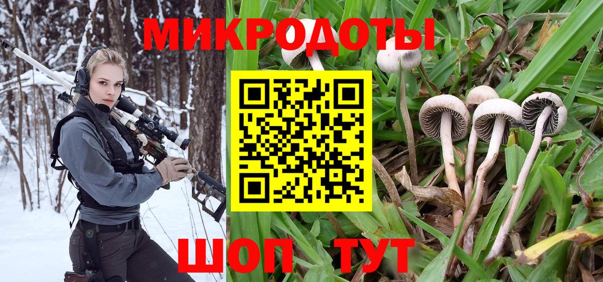 Дедовск  Псилоцибиновые грибы мухоморы  Вход с VPN 