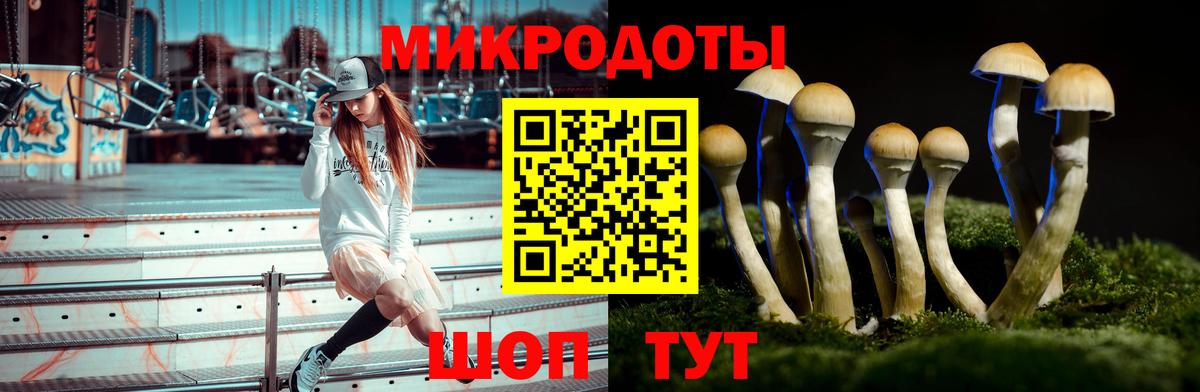 Псилоцибиновые грибы прущие грибы  Дедовск 